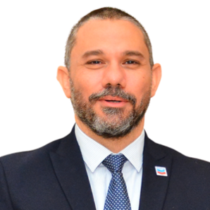 Anis Aboulnaga